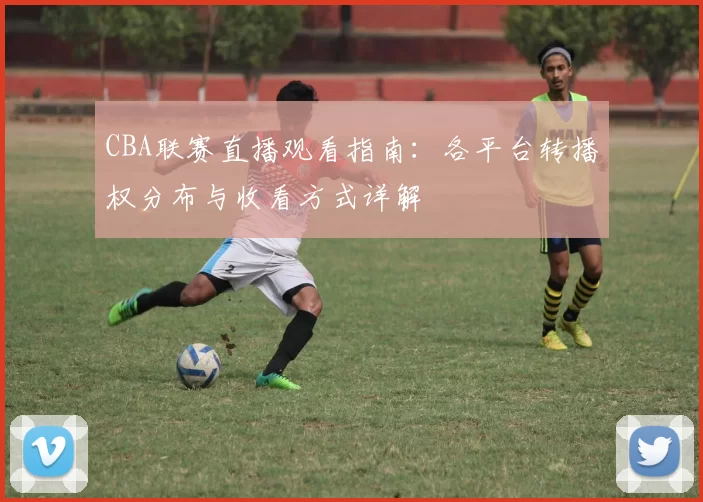 CBA联赛直播观看指南：各平台转播权分布与收看方式详解