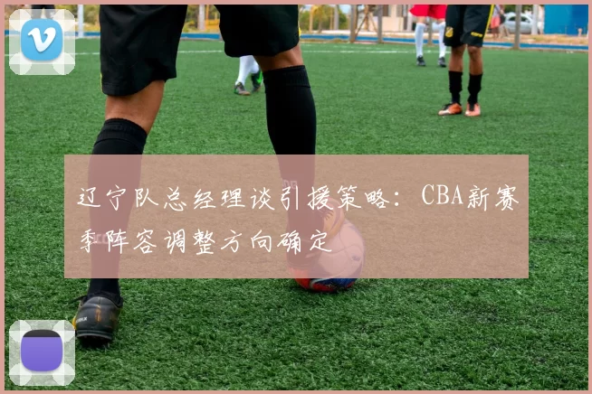 辽宁队总经理谈引援策略:CBA新赛季阵容调整方向确定