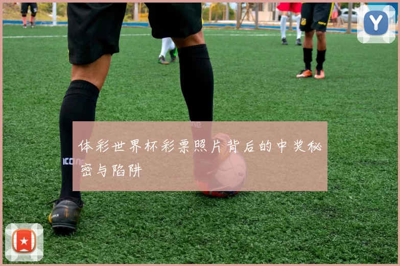 体彩世界杯彩票照片背后的中奖秘密与陷阱