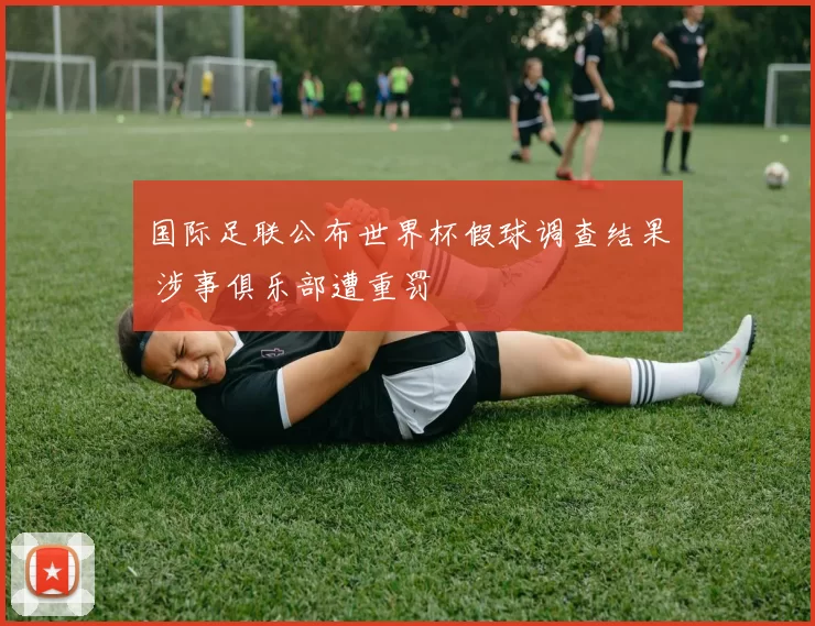 国际足联公布世界杯假球调查结果 涉事俱乐部遭重罚