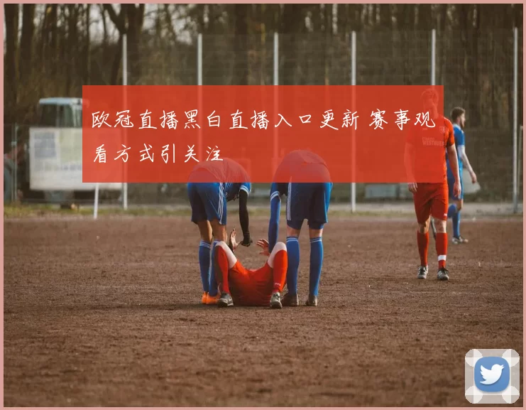 欧冠直播黑白直播入口更新 赛事观看方式引关注
