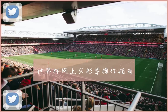 世界杯网上买彩票操作指南
