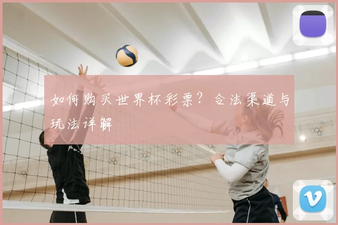 如何购买世界杯彩票?合法渠道与玩法详解