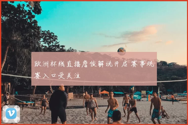 欧洲杯线直播詹俊解说开启 赛事观赛入口受关注