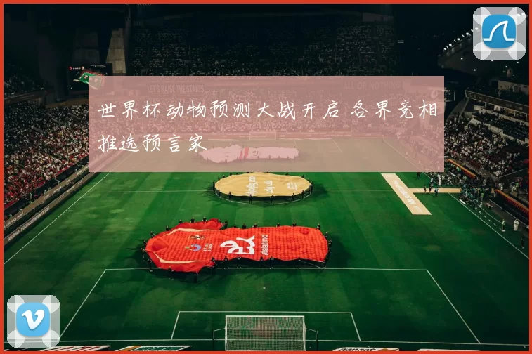 世界杯动物预测大战开启 各界竞相推选预言家