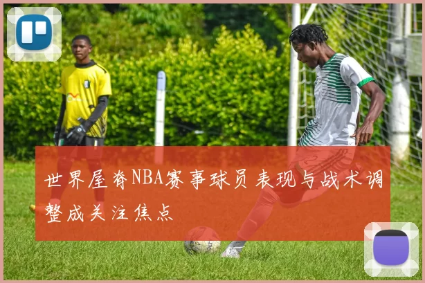世界屋脊NBA赛事球员表现与战术调整成关注焦点